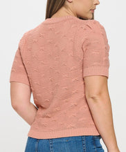 Load image into Gallery viewer, Pullover Short Sleeve Sweater Top
