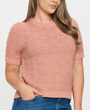 Load image into Gallery viewer, Pullover Short Sleeve Sweater Top
