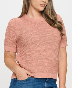 Pullover Short Sleeve Sweater Top