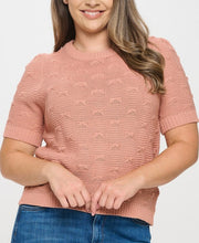 Load image into Gallery viewer, Pullover Short Sleeve Sweater Top
