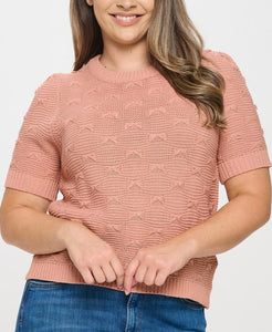 Pullover Short Sleeve Sweater Top