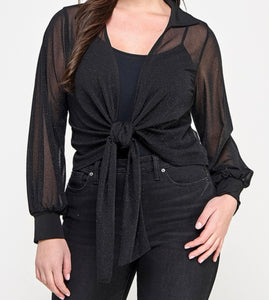 Glitter mesh front tie top